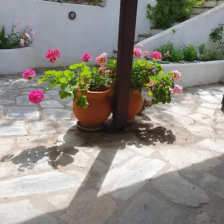 Panorama Garden Daire *