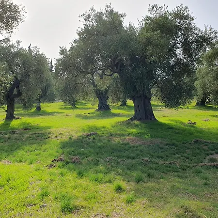 Апартаменты Panorama Garden