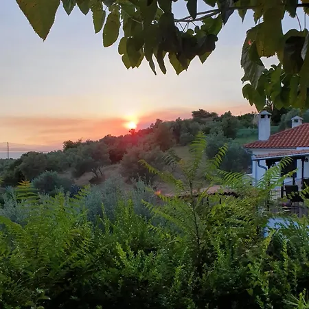 Panorama Garden 寇特
