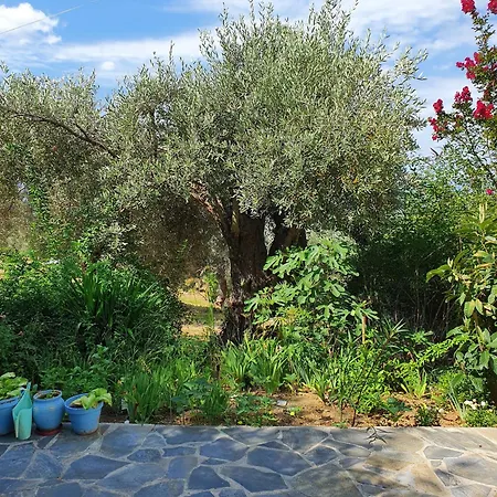 Panorama Garden Chorto