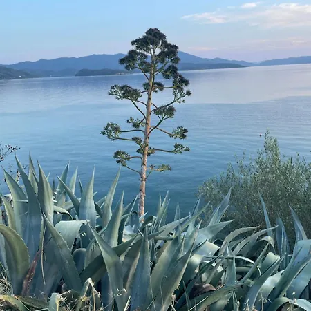 Διαμέρισμα Panorama Garden *