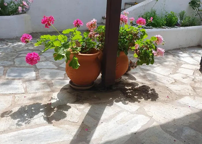 Panorama Garden شقة *