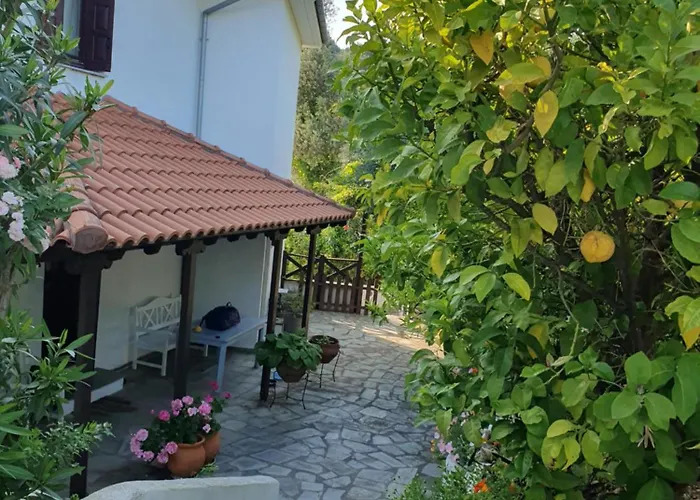 Panorama Garden شقة *