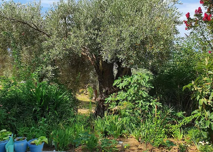 Panorama Garden خورتو