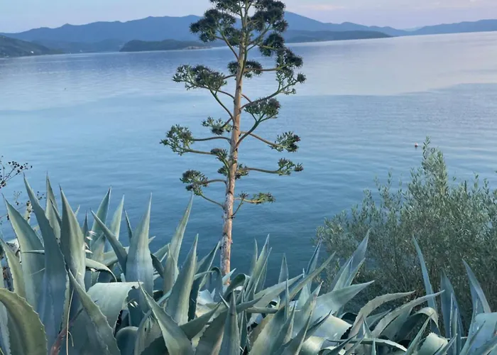 شقة Panorama Garden *